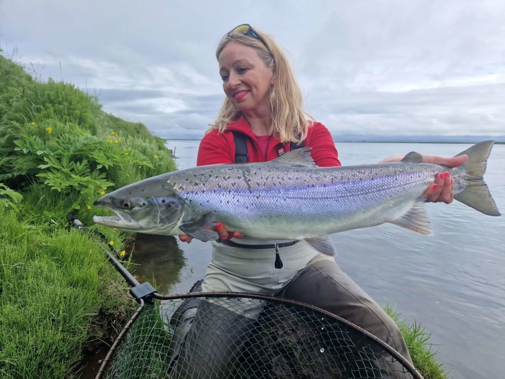 Experience the thrill of catching salmon in the rivers of Holsa West Bank, Iceland